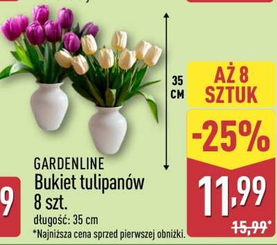 Bukiet tulipanów 8 szt. promocja w Aldi