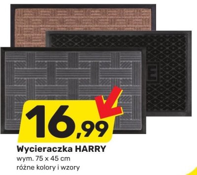 Wycieraczka HARRY promocja w Bricomarche