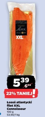 Łosoś atlantycki filet XXL  promocja w Netto