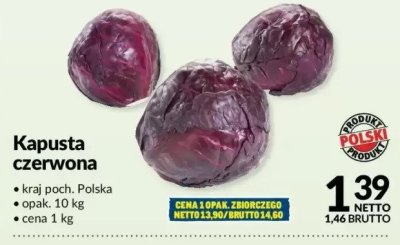 Kapusta czerwona promocja w Makro