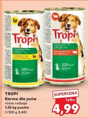 Karma dla psów Tropi różne rodzaje promocja w Kaufland