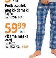 Piżama męska 3xl-4xl Moraj promocja