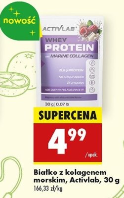 Białko z kolagenem morskim Activlab promocja