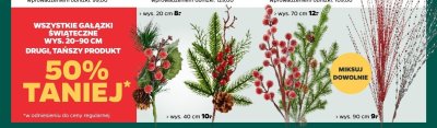 Wszystkie gałązki świąteczne wysokość 20-90 cm drugi produkt -50% taniej promocja w Netto