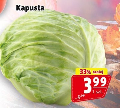 Kapusta promocja w Prim Market
