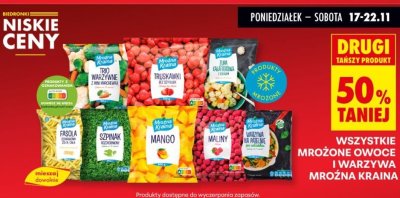 Mrożone owoce i warzywa Mroźna Kraina wszystkie drugi -50% taniej promocja w Biedronka