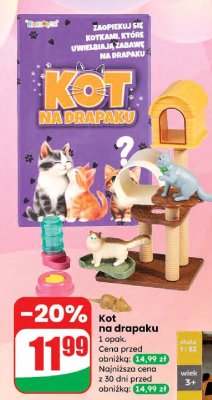 Zabawka Kot na drapaku promocja w Dino