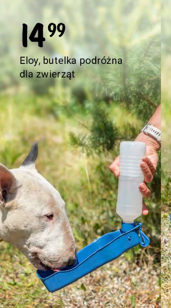 Butelka podr贸偶na dla zwierz膮t Eloy promocja