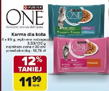 Karma dla kota junior z kurczakiem i marchewk膮 Purina one promocja