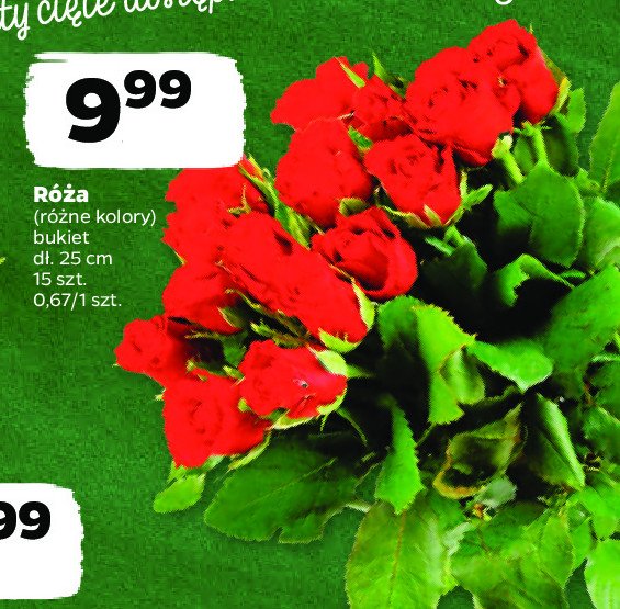 R贸偶a 25 cm promocja