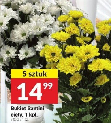 Bukiet Santini cięty, 1 kpl., 5 sztuk promocja w Twój Market