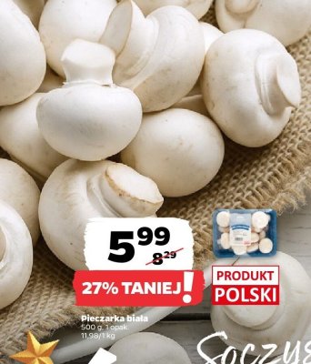 Pieczarki białe Netto promocja w Netto