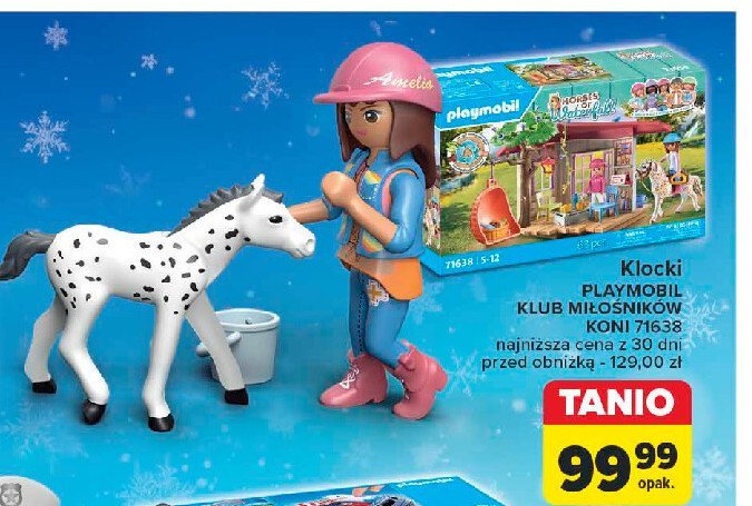 Klocki 71638 Playmobil promocja w Carrefour