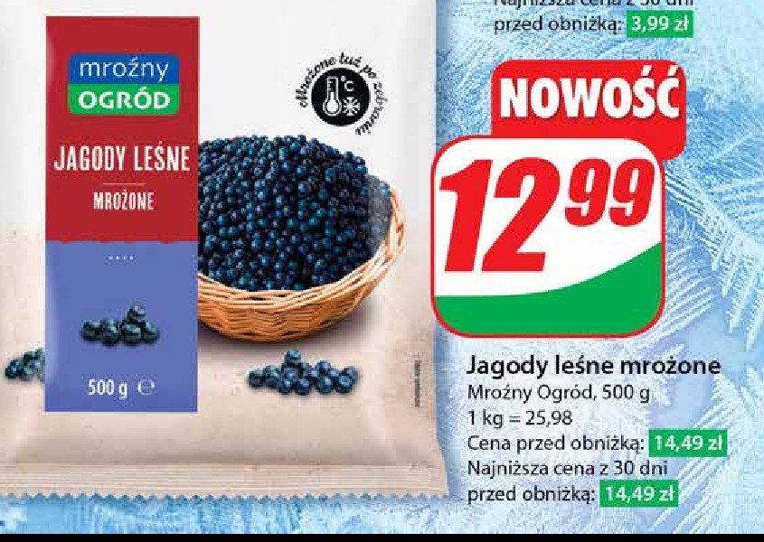 Jagody Mroźny ogród promocja w Dino