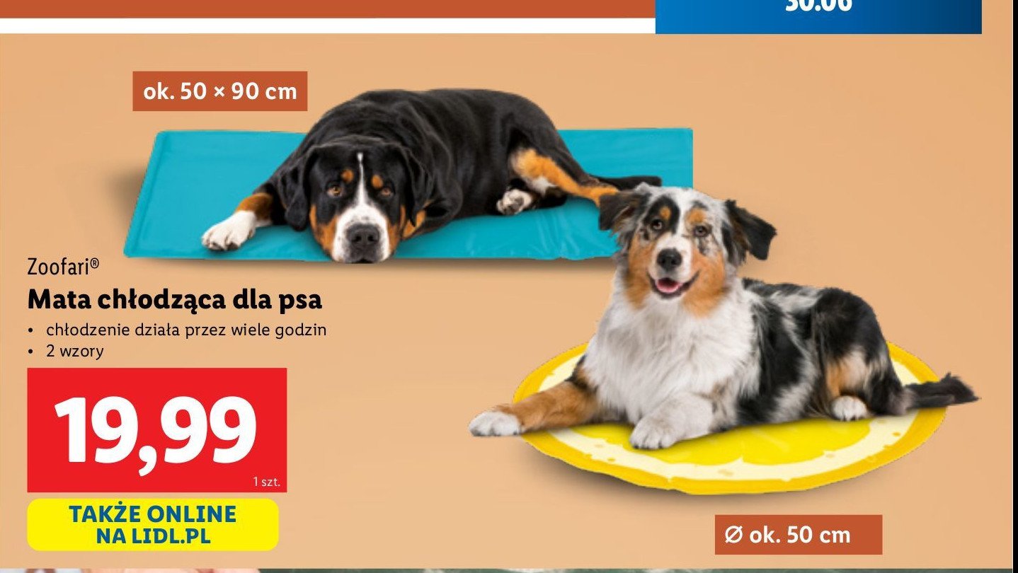 Mata chłodząca Zoofari promocja w Lidl