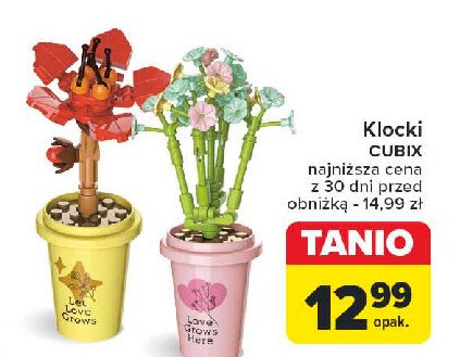 Kwiatek cubix promocja w Carrefour Market