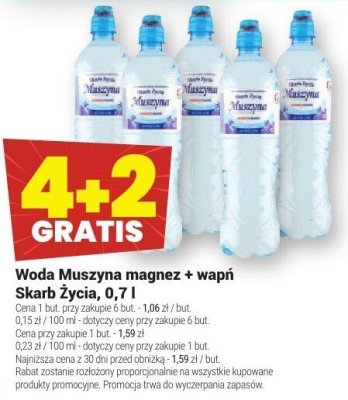 Woda Muszyna magnez + wapń Skarb Życia 0,7l promocja w Twój Market