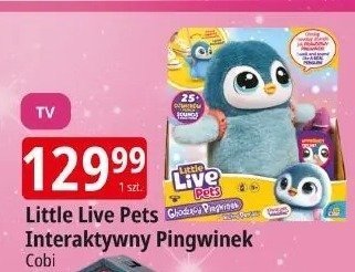 Little Live Pets Interaktywny Pingwinek promocja w Leclerc