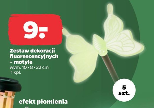 Motyl fluorescencyjny promocja w Netto