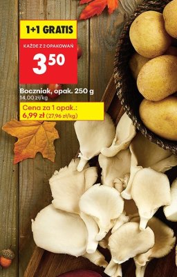 Boczniak, opak. 250 g promocja w Biedronka