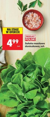 Sa艂ata promocja w Biedronka