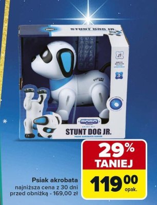 Psiak akrobata Stunt Dog JR promocja w Carrefour