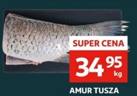 Amur tusza promocja