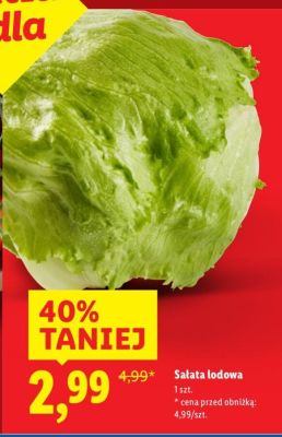 Sa艂ata lodowa promocja w Lidl