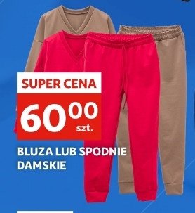 Spodnie damskie promocja