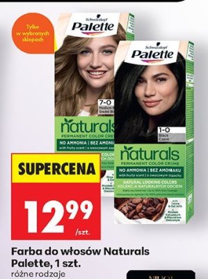 Farba do włosów Naturals Palette, 1 szt. promocja w Biedronka