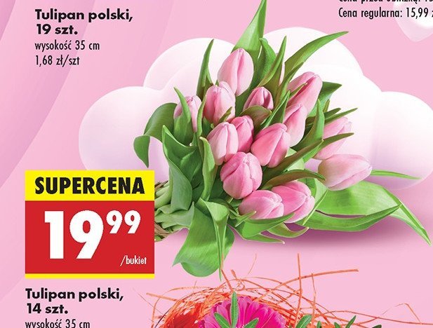 Tulipany 35 cm promocja