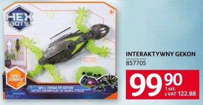 Interaktywny gekon promocja w Selgros