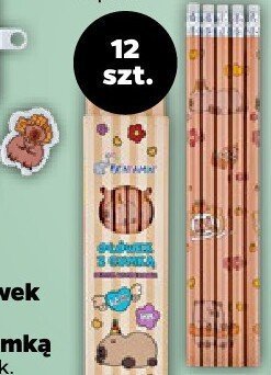 Ołówek HN z gumką 12 szt. promocja w Netto
