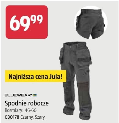 Spodnie robocze Bluewear Rozmiary: 46-60 promocja w Jula