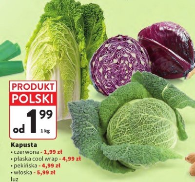 Kapusta czerwona luz promocja w Intermarche