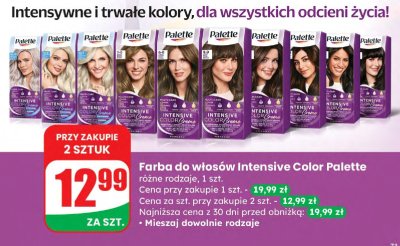 Farba do włosów Intensive Color Palette różne rodzaje promocja w Dino