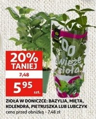 Mi臋ta promocja