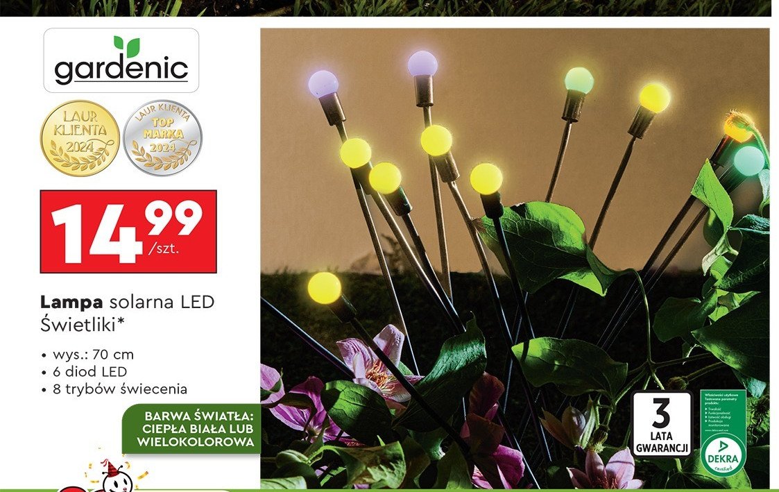 Lampa solarna led świetliki Gardenic promocja w Biedronka