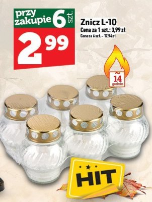 Znicz L-10 promocja w TOPAZ