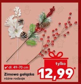 Gałązka zimowa promocja