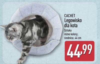 Legowisko dla kota  promocja w Aldi