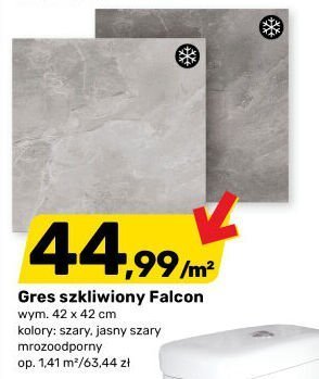 Gres szkliwiony Falcon 42 x 42 cm promocja w Bricomarche