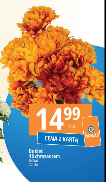 Bukiet 18 chryzantem 72 cm Goliat promocja