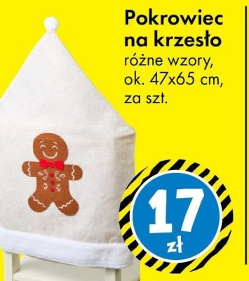 Pokrowiec na krzesło różne wzory ok. 47x65 cm promocja w Tedi