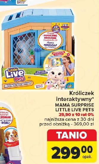 Króliczek interaktywny Little live pets promocja w Carrefour