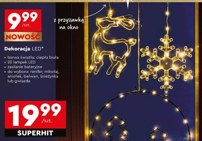 Dekoracja LED 30 cm, różne rodzaje promocja w Biedronka