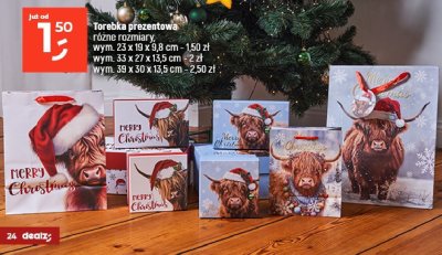 Torebka prezentowa różne rozmiary wym. 39 x 30 x 13,5 cm promocja w Dealz