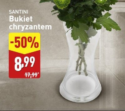 Bukiet chryzantem SANTINI promocja w Aldi