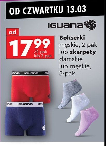 Bokserki męskie m-xxl IGUANA promocja w Biedronka