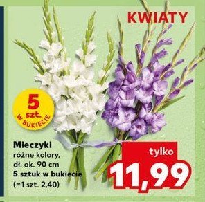 Mieczyki 90 cm promocja